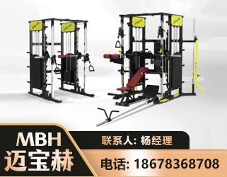 平顶山多功能综合训练器